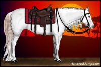 Horse Color:Chestnut Appaloosa  Brindle