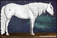Horse Color:White Spotted Chocolate Silver Buckskin Pearl Appaloosa  Brindle