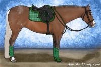Horse Color:White Spotted Silver Bay Splash