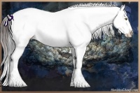 Horse Color:Bay Splash Appaloosa  Brindle