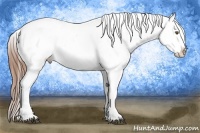 Horse Color:Bay Snowflake Varnish  Brindle