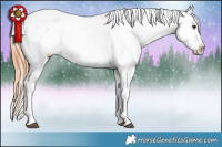 Horse Color:Bay Blanket  and Bay Blanket 