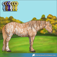 Horse Color:Bay Pearl Near Leopard  Brindle