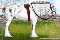 Horse Color:Liver Chestnut Sabino Splash Appaloosa  and Liver Chestnut Sabino Splash Appaloosa 