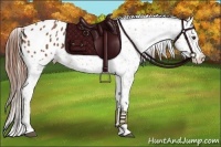 Horse Color:Chestnut Snowflake Varnish Brindle