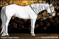 Horse Color:Brown Splash Appaloosa and Brown Splash Appaloosa