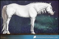 Horse Color:White Spotted Liver Red Onyx Sabino Appaloosa Brindle