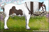 Horse Color:Liver Chestnut Splash Tobiano 