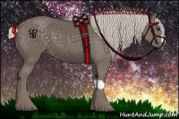 Horse Color:Silver Black 