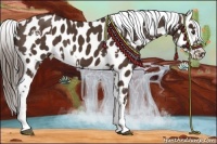 Horse Color:Liver Chestnut Appaloosa  and Liver Chestnut Appaloosa 