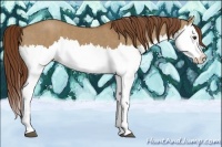 Horse Color:Red Dun Splash  Brindle