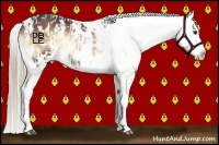 Horse Color:Liver Red Onyx Appaloosa and Liver Red Onyx Appaloosa