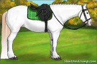 Horse Color:Chestnut Appaloosa Brindle