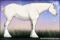 Horse Color:Smoky Creme Roan Dun 