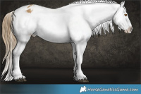 Horse Color:Buckskin Snowflake Varnish  Brindle