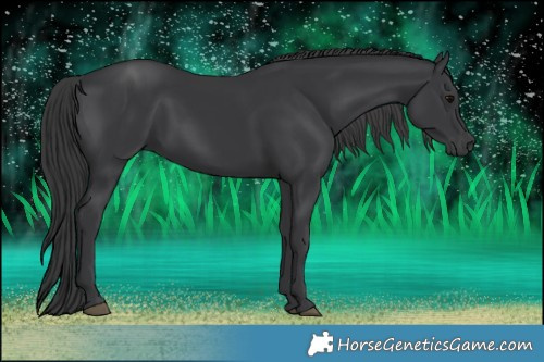 Horse Color:Black  Brindle