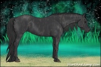 Horse Color:Black  Brindle