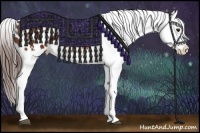 Horse Color:Bay Appaloosa and Bay Appaloosa