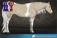Horse Color:Watercolor Silver Buckskin Dun Tobiano 
