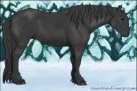 Horse Color:Black Sabino 