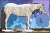 Horse Color:Classic Cream Champagne Ice 