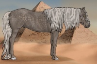Horse Color:Silver Black 