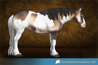 Horse Color:Liver Red Onyx Splash and Liver Red Onyx Splash