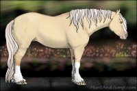 Horse Color:Silver Classic Champagne Dun Splash Frame