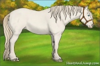 Horse Color:Smoky Creme Roan Dun 
