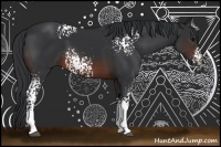 Horse Color:White Spotted Brown Sabino 