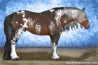 Horse Color:White Spotted Liver Chestnut Rabicano 