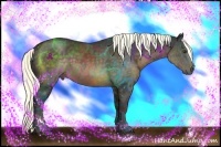 Horse Color:Liver Chestnut Rabicano 