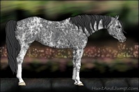 Horse Color:Black Ice 