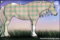 Horse Color:Watercolor Plaid  Palomino Tobiano 