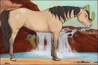 Horse Color:Amber Champagne 