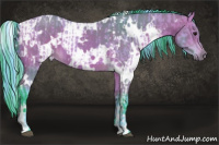 Horse Color:Watercolor White Spotted Bay  and Watercolor White Spotted Bay 