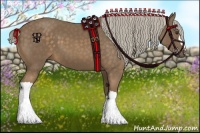 Horse Color:Chocolate Palomino 