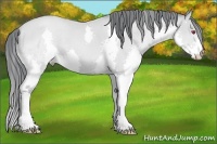 Horse Color:Black Chinchilla Pearl Splash 