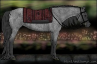 Horse Color:Blue Roan