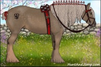 Horse Color:Chocolate Palomino 
