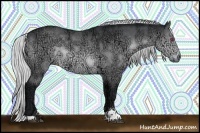 Horse Color:Silver Brown Chinchilla Ice Sabino