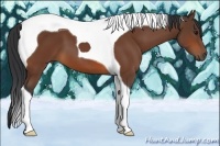 Horse Color:Bay Tobiano 