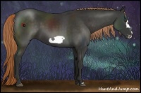 Horse Color:Liver Chestnut Frame 
