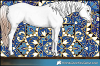 Horse Color:Liver Chestnut Appaloosa