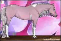 Horse Color:Watercolor Silver Buckskin Dun Tobiano 