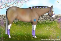 Horse Color:Bay Dun Splash 