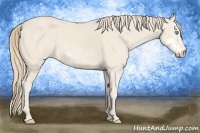 Horse Color:Perlino Sabino  Brindle