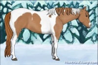 Horse Color:Chestnut Tobiano