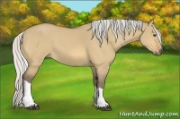 Horse Color:Silver Buckskin Dun Tobiano 