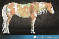 Horse Color:Watercolor White Spotted Palomino and Watercolor White Spotted Palomino
